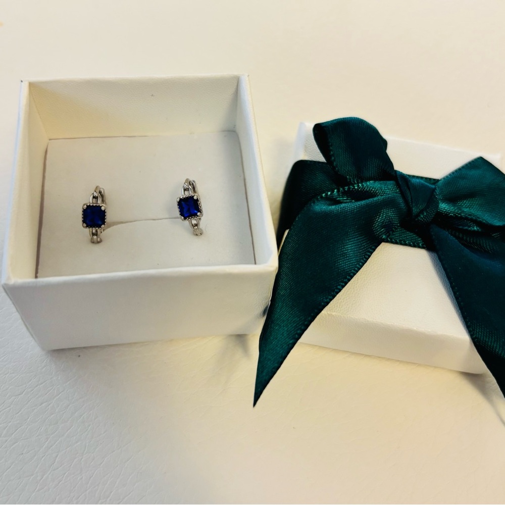 NWT Elegant Silver and Blue Stud Earrings